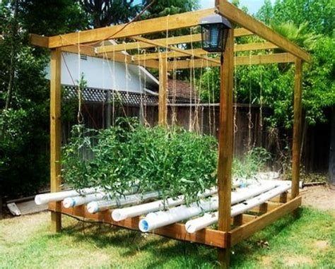 These hydroponic systems are perfect for people who are interested in growing their own plants at home without the hassle of messy soil. Pin by Progressive Gardening Trade As on Home Hydroponics ...