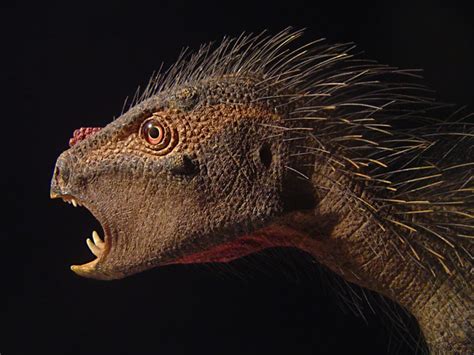 Paleontologist Discovers New Plant Eating Dwarf Dinosaur Paleontology