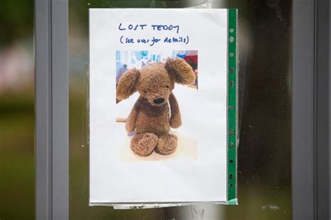 Tearful Edinburgh Girl 5 Makes Adorable Poster Of Lost Teddy Bear In