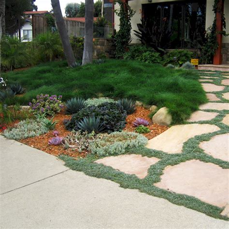 Front Yard Landscape Ideas No Grass Grass Landscaping Without Lawn