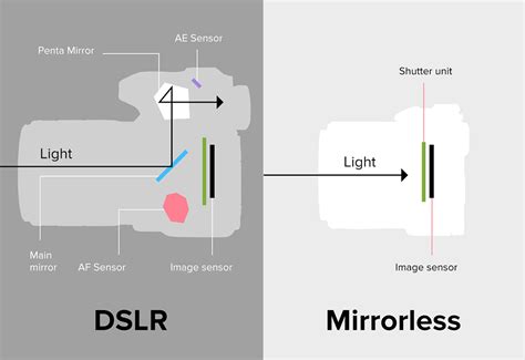 Ten years ago, mirrorless cameras started rolling out one after the other from renowned brands including leica, olympus, fujifilm, pentax, and panasonic. Mirrorless vs DSLR Cameras: Which is Right for You ...