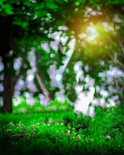 Nature Background Hd Blur Images Download Geography38