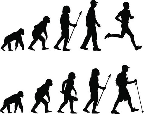 Human Evolution Illustrations Royalty Free Vector