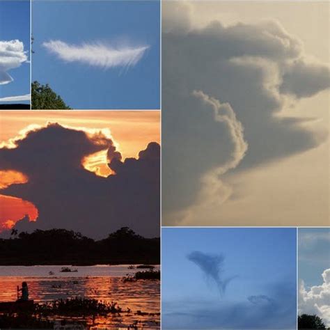 Clouds That Look Like Things Amusing Planet