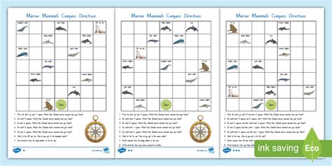 New Zealand Marine Mammals Compass Directions Worksheet