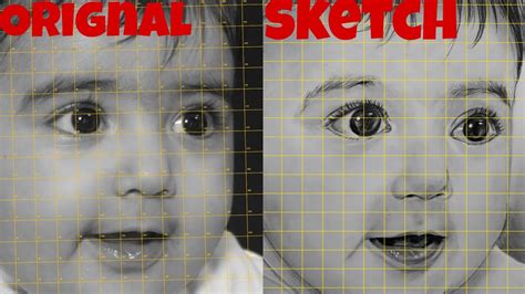 Grid Method Of Drawing How To Draw A Perfect Sketch Using Grid