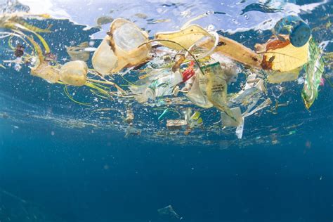 Wat Kan Ik Doen Tegen Plasticvervuiling