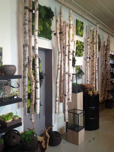 Beautiful Wall Decoration Room Separation With Framed Moss And Birch