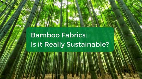 Bamboo Fabrics Is It Really Sustainable Dinesh Exports