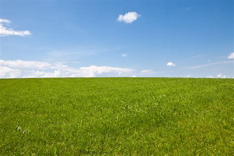 2560x1080 Resolution Green Grass Field With Stratus Clouds Wiese Hd