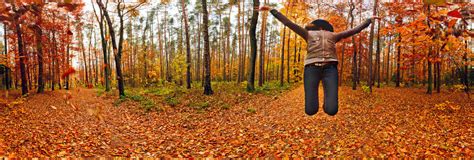 Autumn Forest A Girl Jumping In Leaves 360 Panorama 360cities