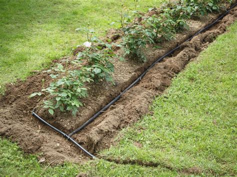 How to irrigate in high wind areas. How To Install Garden Irrigation: Ways To Put In ...