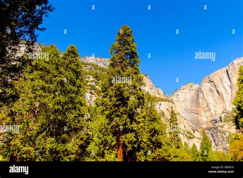 Yosemite National Park California Stock Photo Alamy