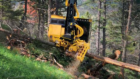 570 Harvesting Head Cut To Length Forestry Attachments Tigercat