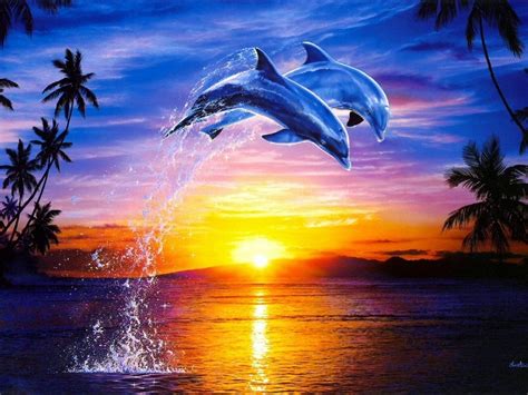 Dolphins Sunset Wallpaper Dolphin Sunset Water Sunset Dolphins Beach