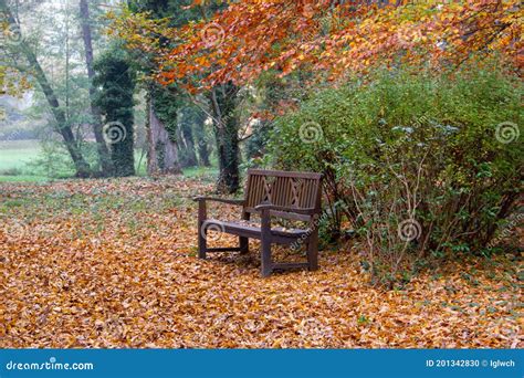 Scene With Wooden Bench In The Autumn Park Stock Photo Image Of Bench