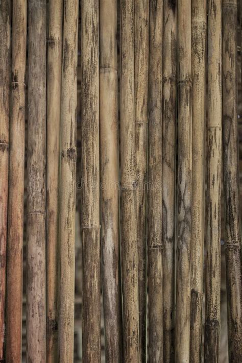 Close Up Of Bamboo Wall Or Bamboo Fence Texture Old Brown Tone Natural
