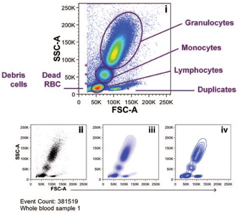 Flow Cytometry Journal Of Investigative Dermatology