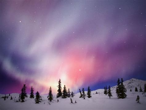 Winter Aurora Borealis ~ Northern Lights Auroras Boreales Hermosa