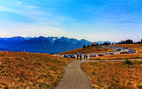 Hiking Trail And Visitors Center At Hurricane Ridge Olympic National