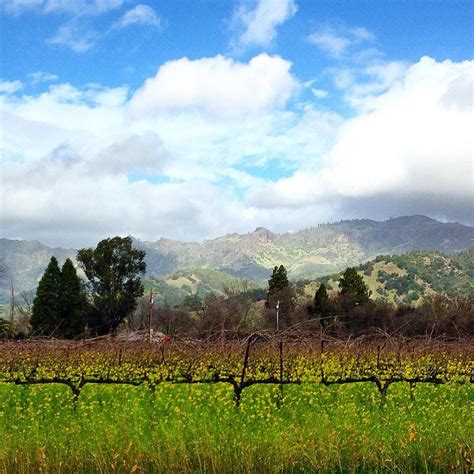 Things To Do In Napa Valley Once In A Lifetime Journey