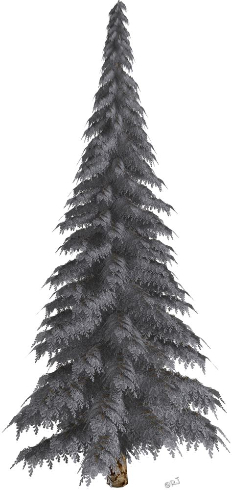 Christmas Tree Png Snow Download Transparent Snow Tree Png For Free