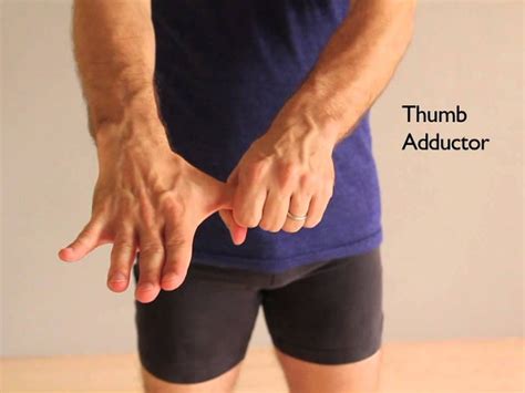 Wrist Hand And Finger Stretching Routine Active Isolated Stretching Hand Health Dynamic