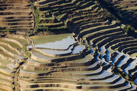 The Famous Terraced Rice Fields Of Yuanyang In Yunnan Province In China