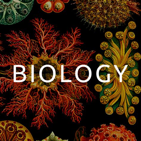 Key Resources Biology Research Guide Guides At Depaul University