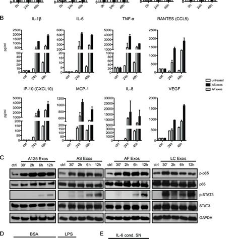 Exosomes Trigger Cytokine Production And Cell Signaling In Thp 1 Cells