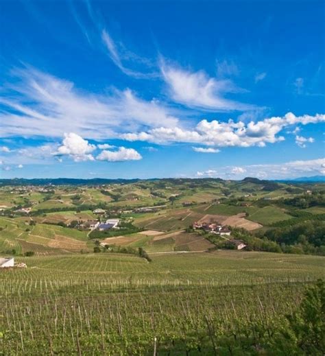 Only In Piedmont Virginia Wineries Piedmont Barolo