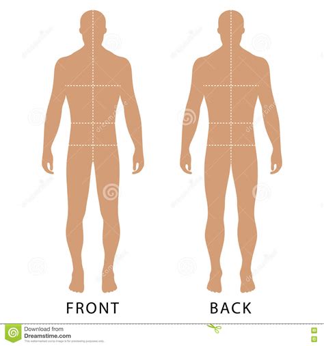 Human body outlines are available for pdf format. Man s template figure stock vector. Illustration of ...