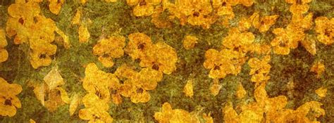 Yellow Vintage Flower Facebook Cover