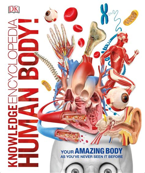 Knowledge Encyclopedia Human Body Dk Uk