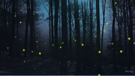 Fireflies Aesthetic Noche Lluvia Spells Neumonic ästhetik Caminos