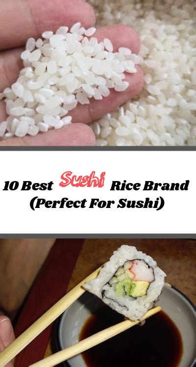 10 Best Sushi Rice Brand Perfect For Sushi Best Sushi Rice Sushi