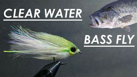 Tying The Best Fly For Big Bass In Clear Water Step By Step