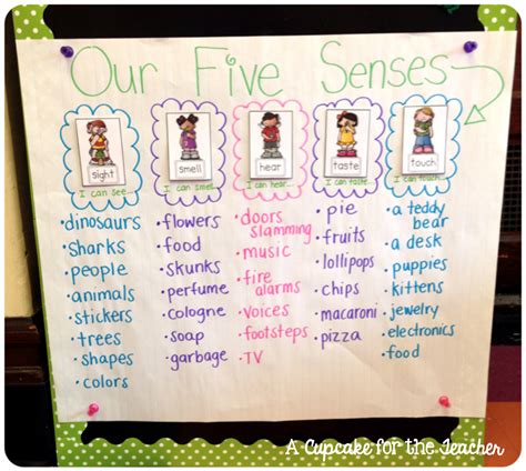 A Cupcake For The Teacher Anchor Chart Eye Candy Senses Preschool