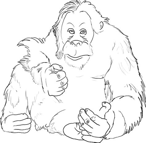 100% free coloring page of orangutan. Orangutan Coloring Page - Animals Town - Animals Color ...