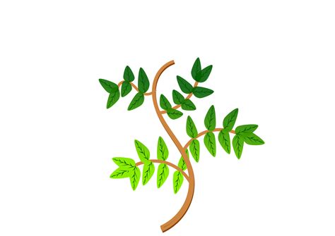 Clipart leaves 2 leaves, Clipart leaves 2 leaves Transparent FREE for ...