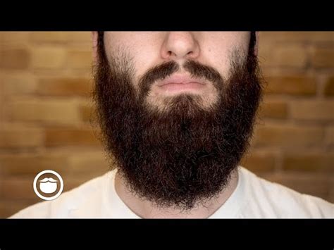 How to straighten your beard with a beard hair straightener. How to Tame Your Beard in Under 5 Minutes - Weekly Update ...