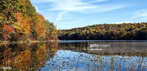 Fall Foliage At Norwich Pond Nehantic State Forest In Connecticut High