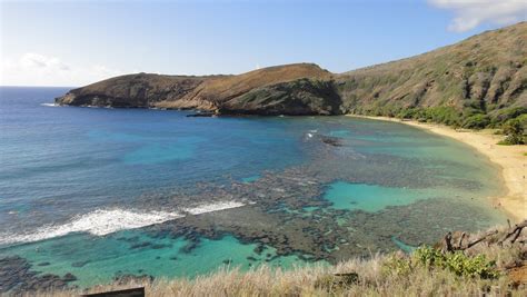 Hanauma Bay Snorkeling In Oahu Hawaii Picture Of The Day