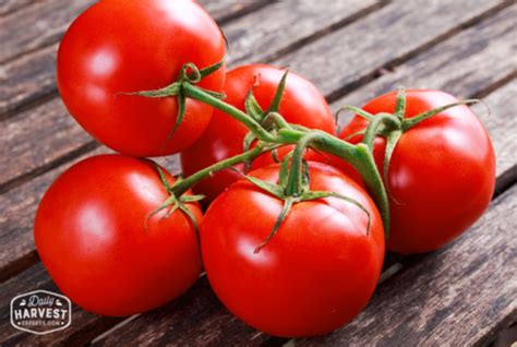 Vine Ripe Tomatoes 1lb Daily Harvest Express