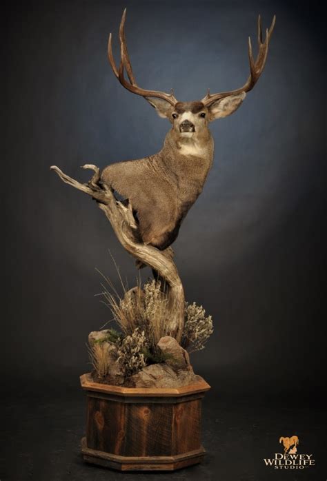 North American Pedestal Mounts Dewey Wildlife