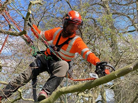 Cutting Trees with a Chainsaw Using Free Fall Techniques 21-08 (CS39)