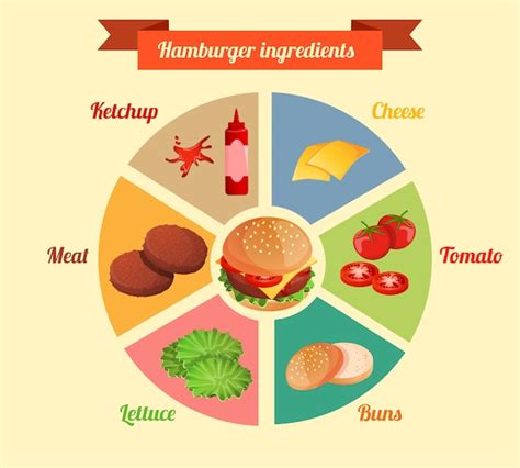 Premium Vector Hamburger Ingredients Infographic