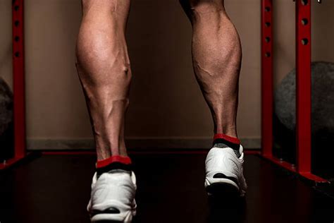 Body Builder Calves Stock Photos Pictures And Royalty Free Images Istock