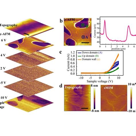 Conduction At Domain Walls In Sps Single Crystal A Topography And