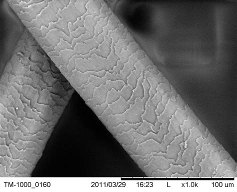 scientific image sem of human hair black and white nise network